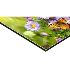 Panneau Alu Dibond 80 x 120 cm - 1 ex