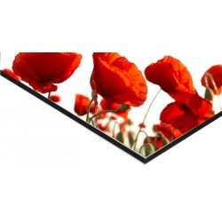 Panneau Alu Dibond 35 x 28 cm