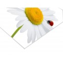 Panneau PVC 40 x 80 cm - 1ex