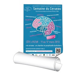 Affiches 40 x 60 cm (A2) - papier 170 g couché mat - 50 ex