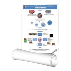 Affiches 120 x 160 cm - papier 150 g demi-mat - 1 ex
