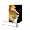 Affiche grand format 80 x 120 cm