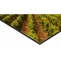 Panneau Alu Dibond 20 x 80 cm - 6 ex