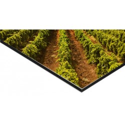 Panneau Alu Dibond 80 x 20 cm