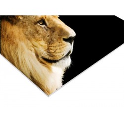 Panneau PVC 28 x 21 cm