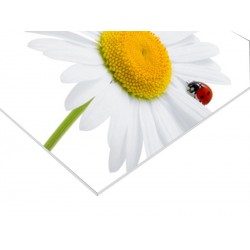 Panneau PVC 80 x 40 cm