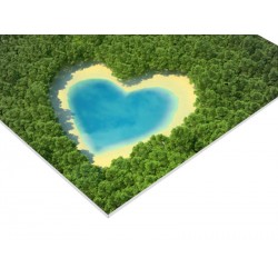 Panneau PVC 80 x 60 cm