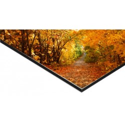Panneau Alu Dibond 80 x 80 cm