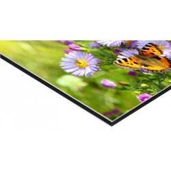 Panneau Alu Dibond 80 x 120 cm - 9 ex
