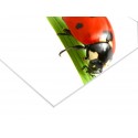 Panneau PVC 80 x 120 cm - 7 ex
