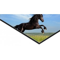 Panneau Alu Dibond 100 x 50 cm