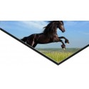 Panneau Alu Dibond 100 x 300 cm - 8 ex