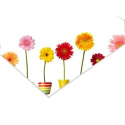 Panneau PVC 100 x 100 cm