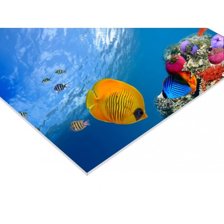 Panneau PVC 100 x 50 cm