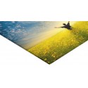 Panneau verre acrylique 40 x 120 cm - 6 ex